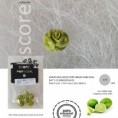 /album/a3/mini-rosa-jpg/